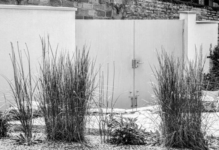 Gräser vor geschlossenem Gartentor.