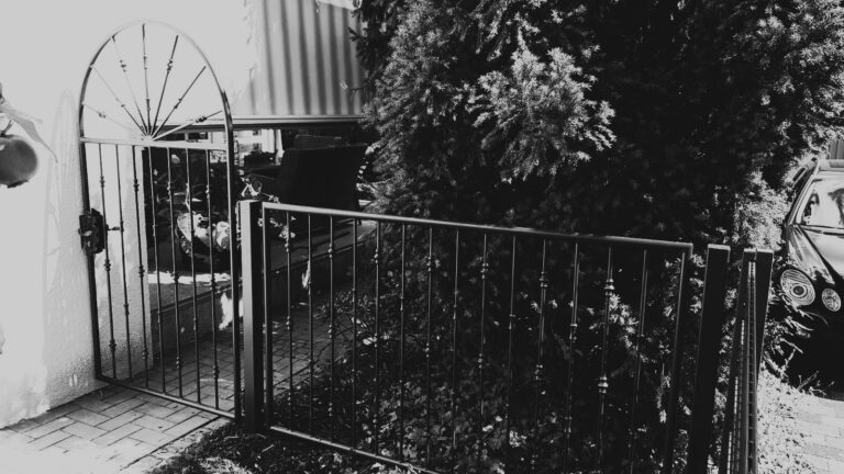 Tor, Schatten, Tannen, Auto, Terrasse